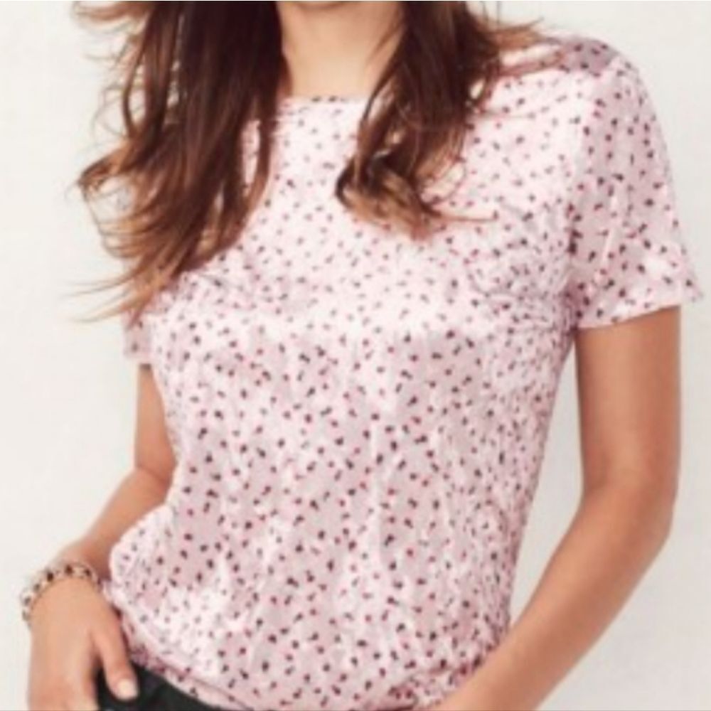 Lauren Conrad Pink Red Rosebud Print Short Sleeve Velvet Blouse Small‎ Coquette